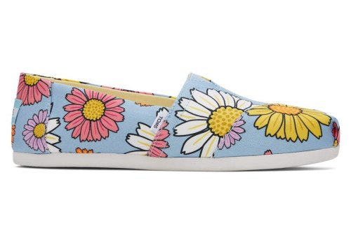 Alpargatas Toms Alpargata Daisies Azuis | PT599-059