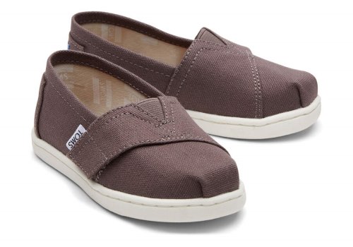 Alpargatas Toms Tiny Alpargata Lona Cinzentas | PT977-722