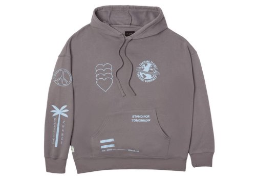 Moletom Com Capuz Toms Multi Gráficas Fleece Hoodie Cinzentas Multicoloridas | PT724-953