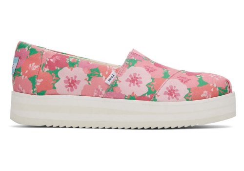 Sapatos Plataforma Toms Alpargata Midform Espadrille Rosa | PT099-913