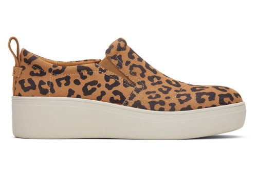 Tenis Toms Tristan Slip On Sneaker Leopardo | PT250-816